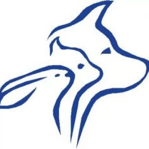 cropped-ocLGSMgT6qH2dZ8jtKty_Ambion-Full-logo cropped-ocLGSMgT6qH2dZ8jtKty_Ambion-Full-logo